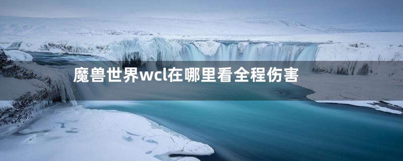 魔兽世界wcl在哪里看全程伤害