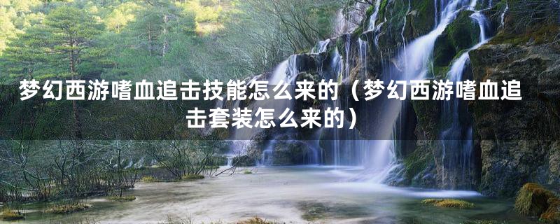 梦幻西游嗜血追击技能怎么来的（梦幻西游嗜血追击套装怎么来的）