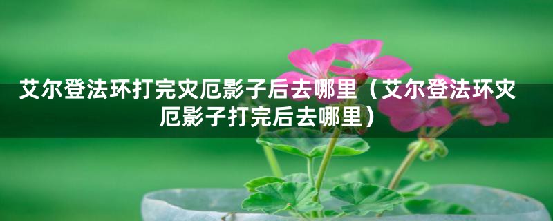 艾尔登法环打完灾厄影子后去哪里(艾尔登法环灾厄影子打完后去哪里)