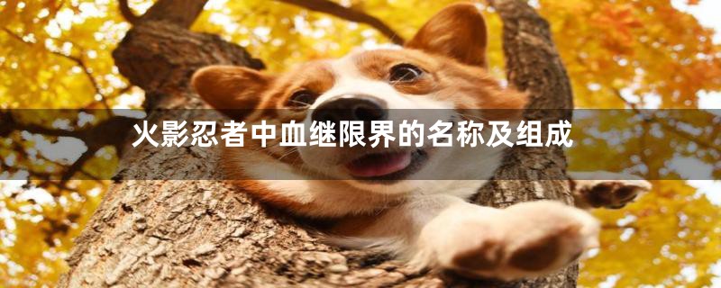 火影忍者中血继限界的名称及组成