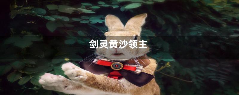 剑灵黄沙领主