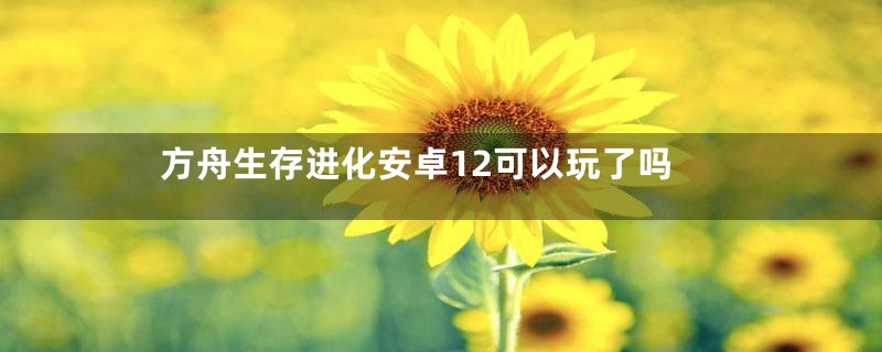 方舟生存进化安卓12可以玩了吗