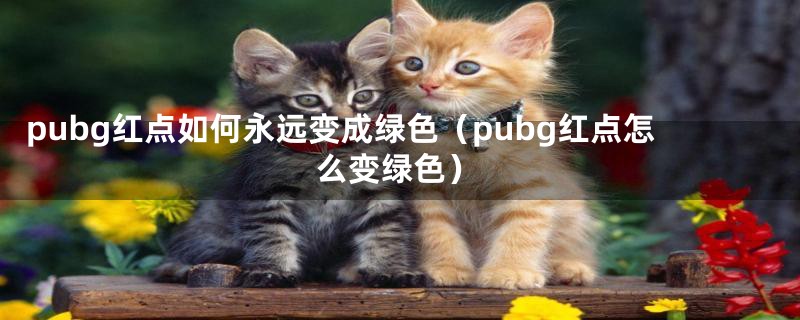 pubg红点如何永远变成绿色(pubg红点怎么变绿色)