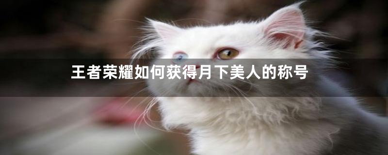 王者荣耀如何获得月下美人的称号