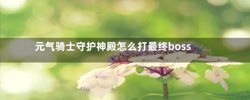 元气骑士守护神殿怎么打最终boss