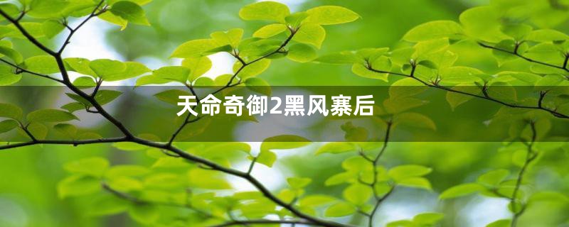 天命奇御2黑风寨后