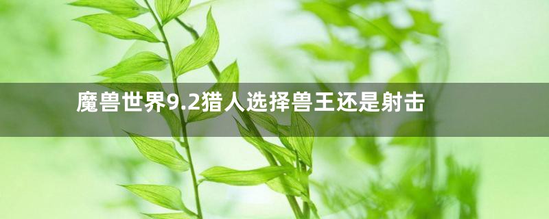 魔兽世界9.2猎人选择兽王还是射击