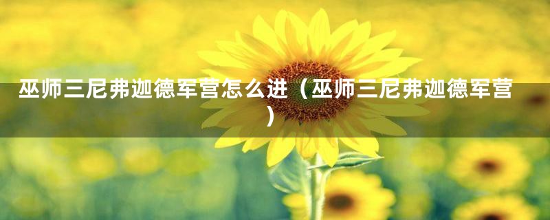 巫师三尼弗迦德军营怎么进（巫师三尼弗迦德军营）