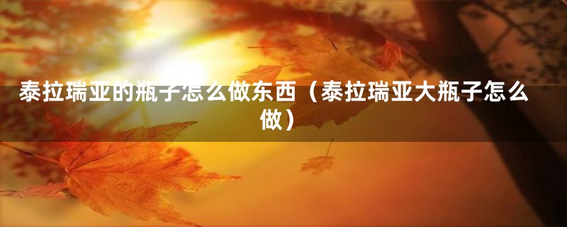 泰拉瑞亚的瓶子怎么做东西(泰拉瑞亚大瓶子怎么做)
