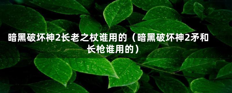 暗黑破坏神2长老之杖谁用的(暗黑破坏神2矛和长枪谁用的)