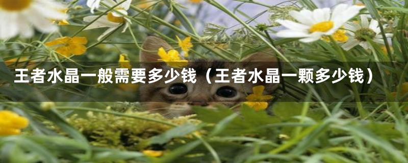 王者水晶一般需要多少钱（王者水晶一颗多少钱）