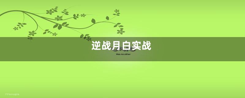 逆战月白实战