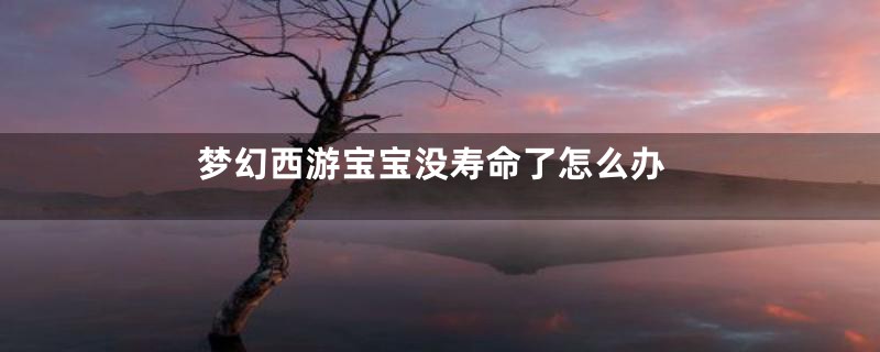 梦幻西游宝宝没寿命了怎么办