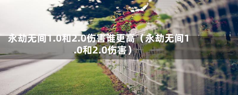 永劫无间1.0和2.0伤害谁更高（永劫无间1.0和2.0伤害）