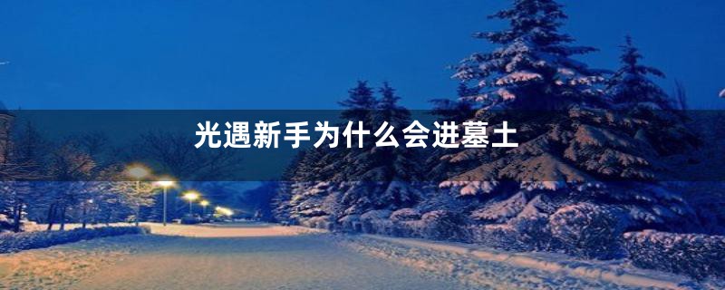 光遇新手为什么会进墓土