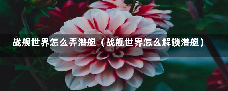 战舰世界怎么弄潜艇(战舰世界怎么解锁潜艇)