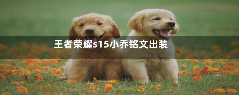 王者荣耀s15小乔铭文出装