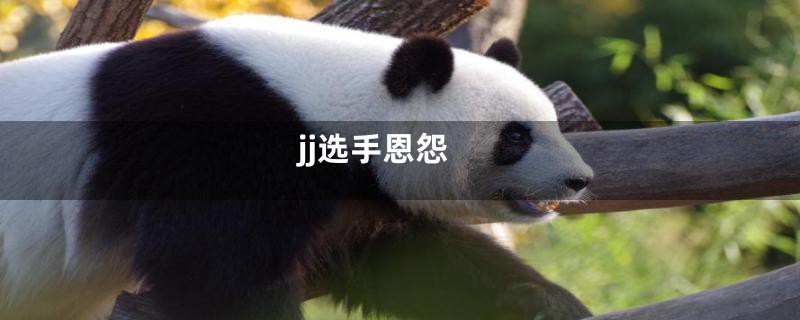 jj选手恩怨