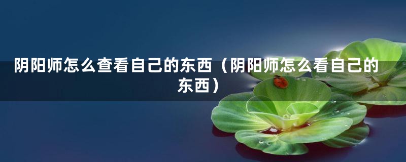 阴阳师怎么查看自己的东西（阴阳师怎么看自己的东西）