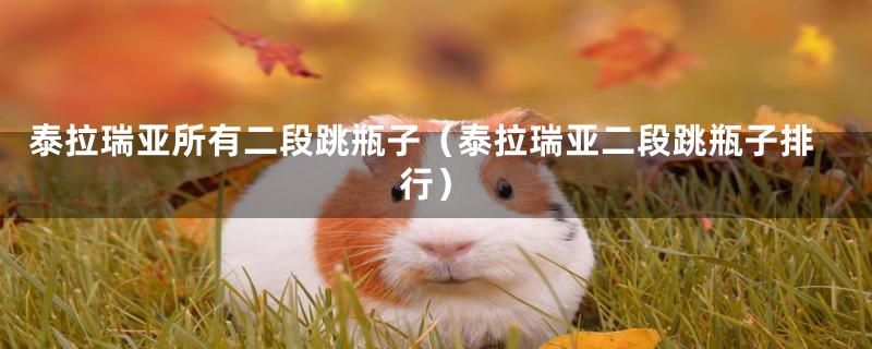 泰拉瑞亚所有二段跳瓶子(泰拉瑞亚二段跳瓶子排行)