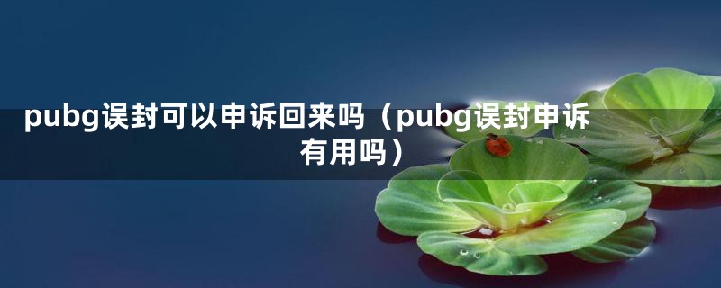 pubg误封可以申诉回来吗（pubg误封申诉有用吗）