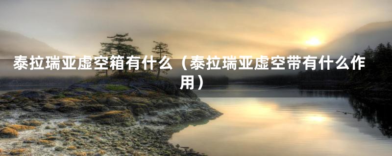 泰拉瑞亚虚空箱有什么(泰拉瑞亚虚空带有什么作用)