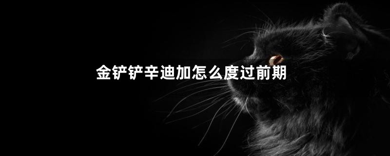 金铲铲辛迪加怎么度过前期