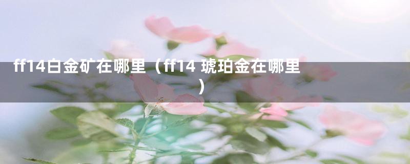 ff14白金矿在哪里（ff14 琥珀金在哪里）