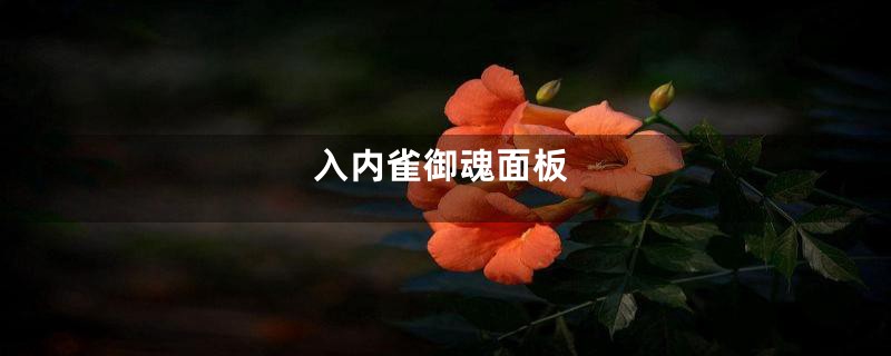 入内雀御魂面板