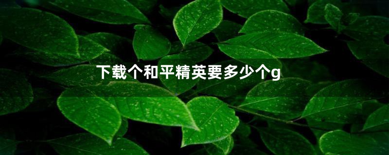 下载个和平精英要多少个g