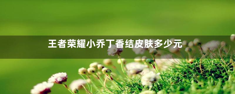 王者荣耀小乔丁香结皮肤多少元