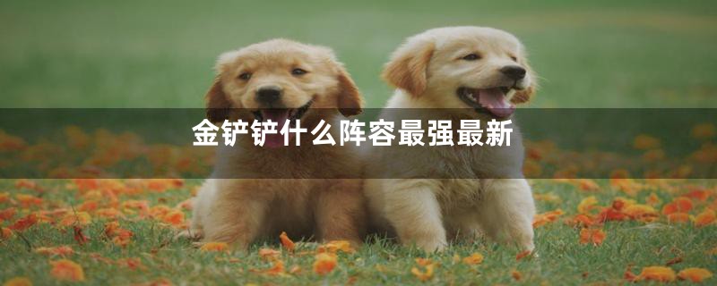 金铲铲什么阵容最强最新