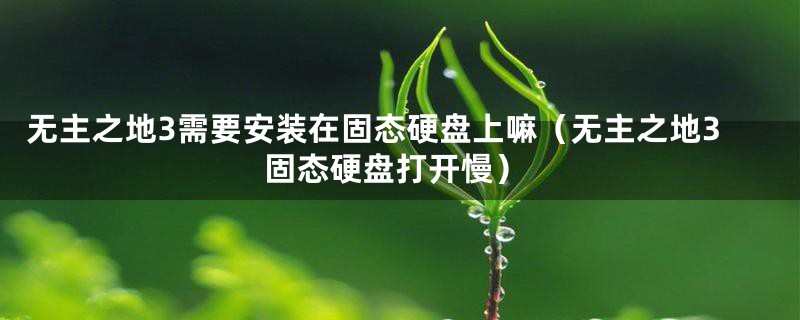 无主之地3需要安装在固态硬盘上嘛(无主之地3固态硬盘打开慢)