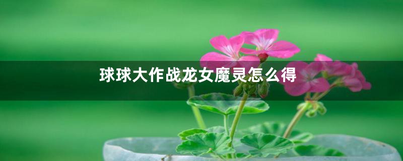 球球大作战龙女魔灵怎么得