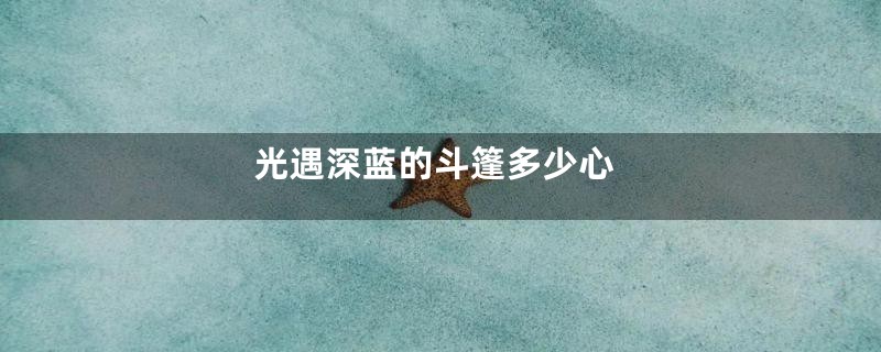 光遇深蓝的斗篷多少心
