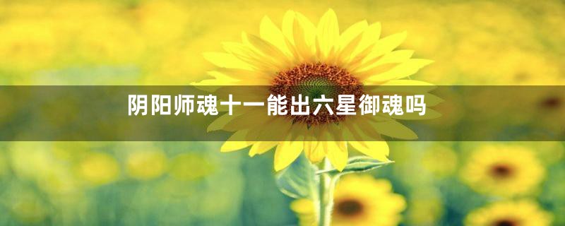 阴阳师魂十一能出六星御魂吗