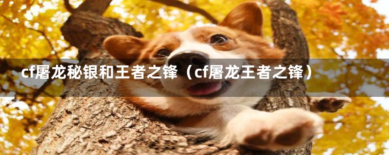 cf屠龙秘银和王者之锋（cf屠龙王者之锋）