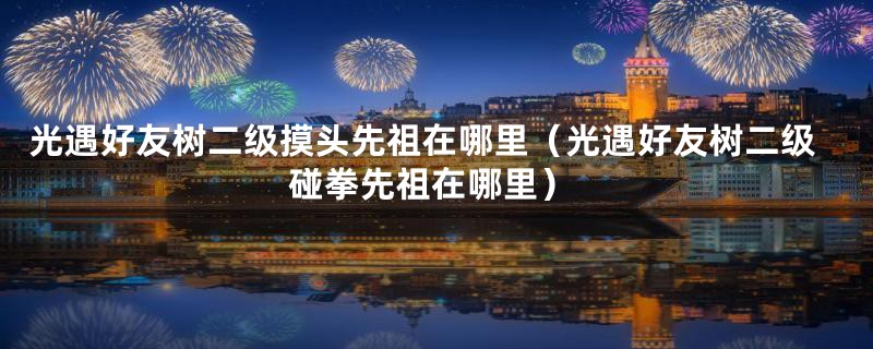 光遇好友树二级摸头先祖在哪里(光遇好友树二级碰拳先祖在哪里)
