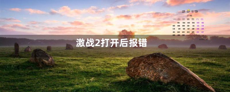 激战2打开后报错