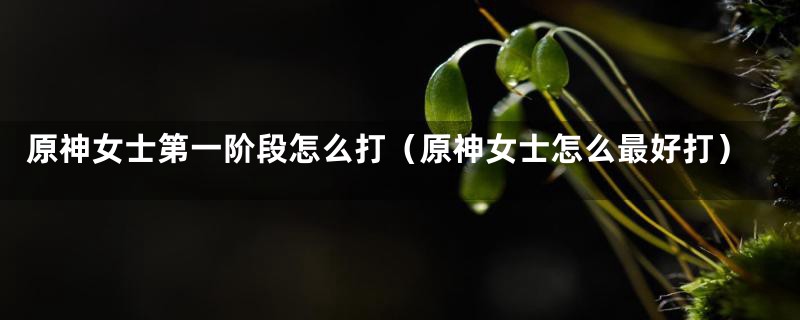 原神女士第一阶段怎么打(原神女士怎么最好打)