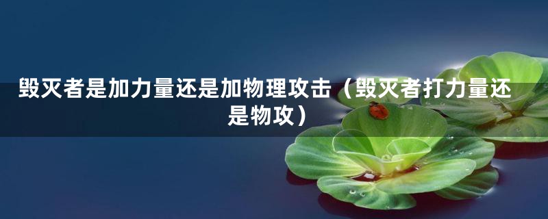 毁灭者是加力量还是加物理攻击(毁灭者打力量还是物攻)