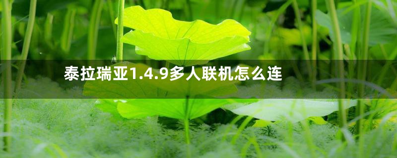 泰拉瑞亚1.4.9多人联机怎么连