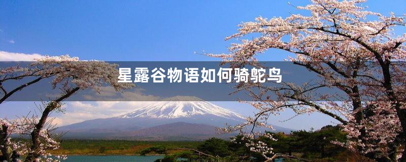 星露谷物语如何骑鸵鸟