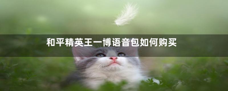 和平精英王一博语音包如何购买