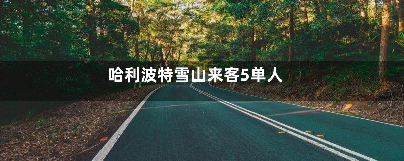 哈利波特雪山来客5单人