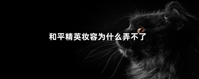 和平精英妆容为什么弄不了
