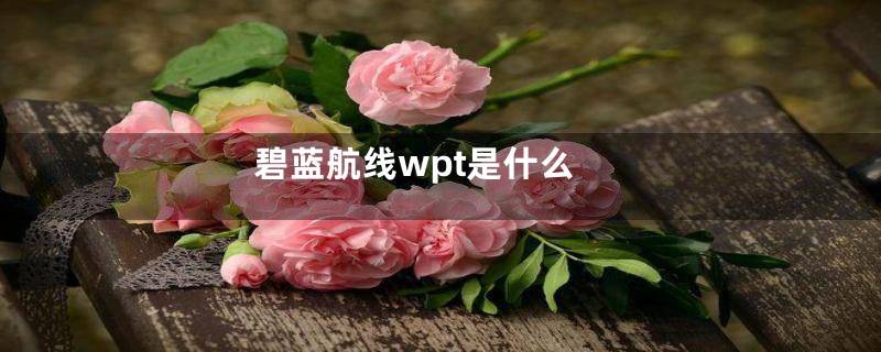 碧蓝航线wpt是什么