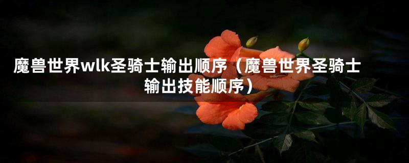 魔兽世界wlk圣骑士输出顺序（魔兽世界圣骑士输出技能顺序）