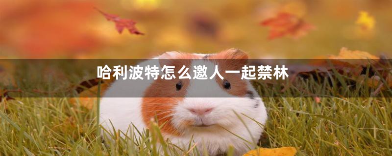 哈利波特怎么邀人一起禁林