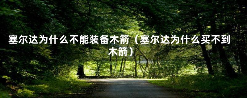 塞尔达为什么不能装备木箭（塞尔达为什么买不到木箭）